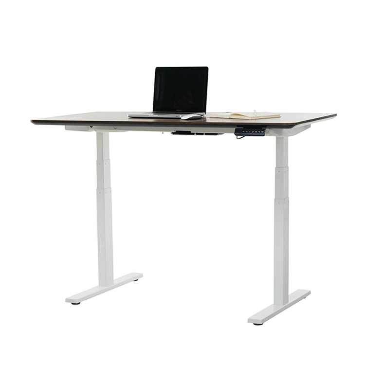 Three Sections Dual Motor Electric Height Adjustable Listing Legs Sit and Stand up Desk