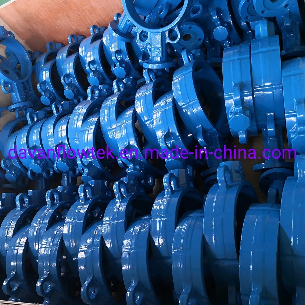 Use Sand Casting Check Valve Body with Machining Service Oil Accessories Customized Butterfly Valve