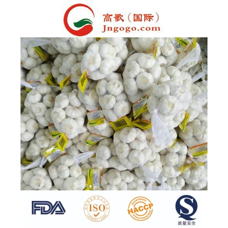 New Crop First Quality Fresh Garlic Supplier (4.5cm, 5.0cm, 5.5cm)