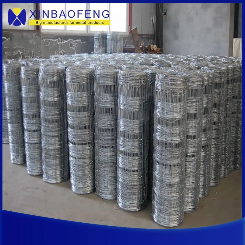 Hot Dipped Galvanized Steel Wire Mesh Farm/Cattle Fence