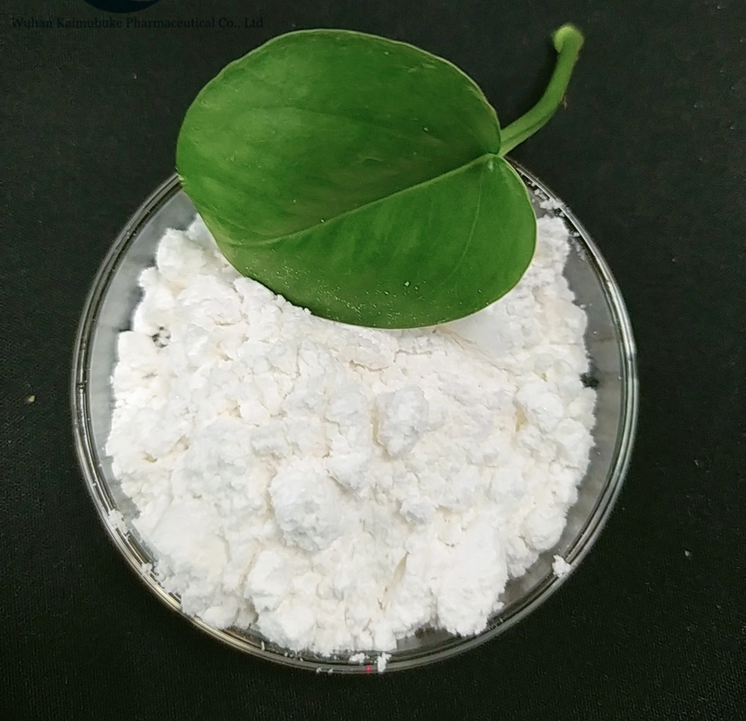 Best Price 90% CAS 1398-61-4 Pure Chitin Chitosan Powder Chitin for Sale