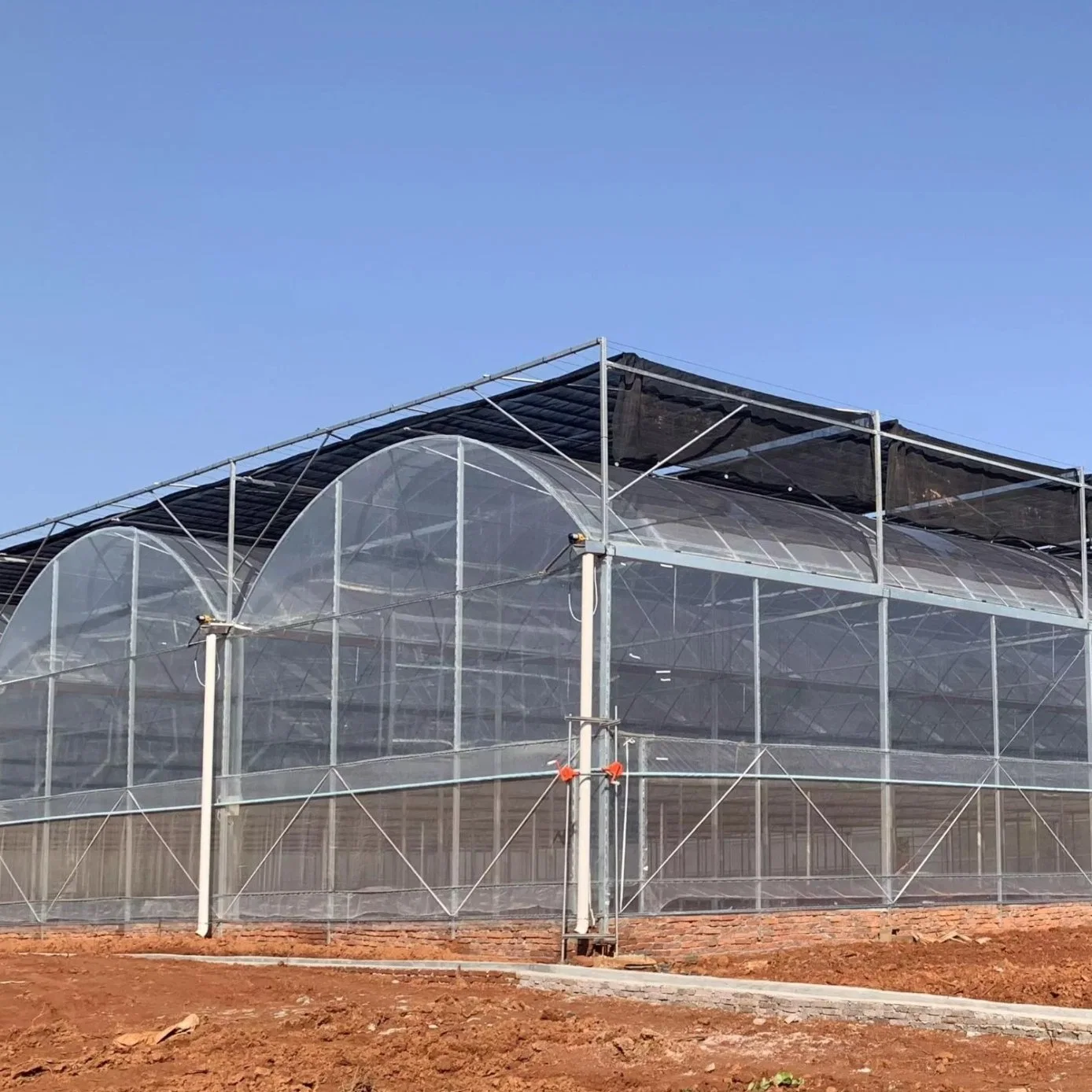 Multi Span Po/PE Film Warmhouse/Glasshouse/Greenhouse for Uzbekistan Agriculture/Commercial/Sightseeing/Pepper/Bell Pepper/Mushroom/Cherry/Tomato/Growing