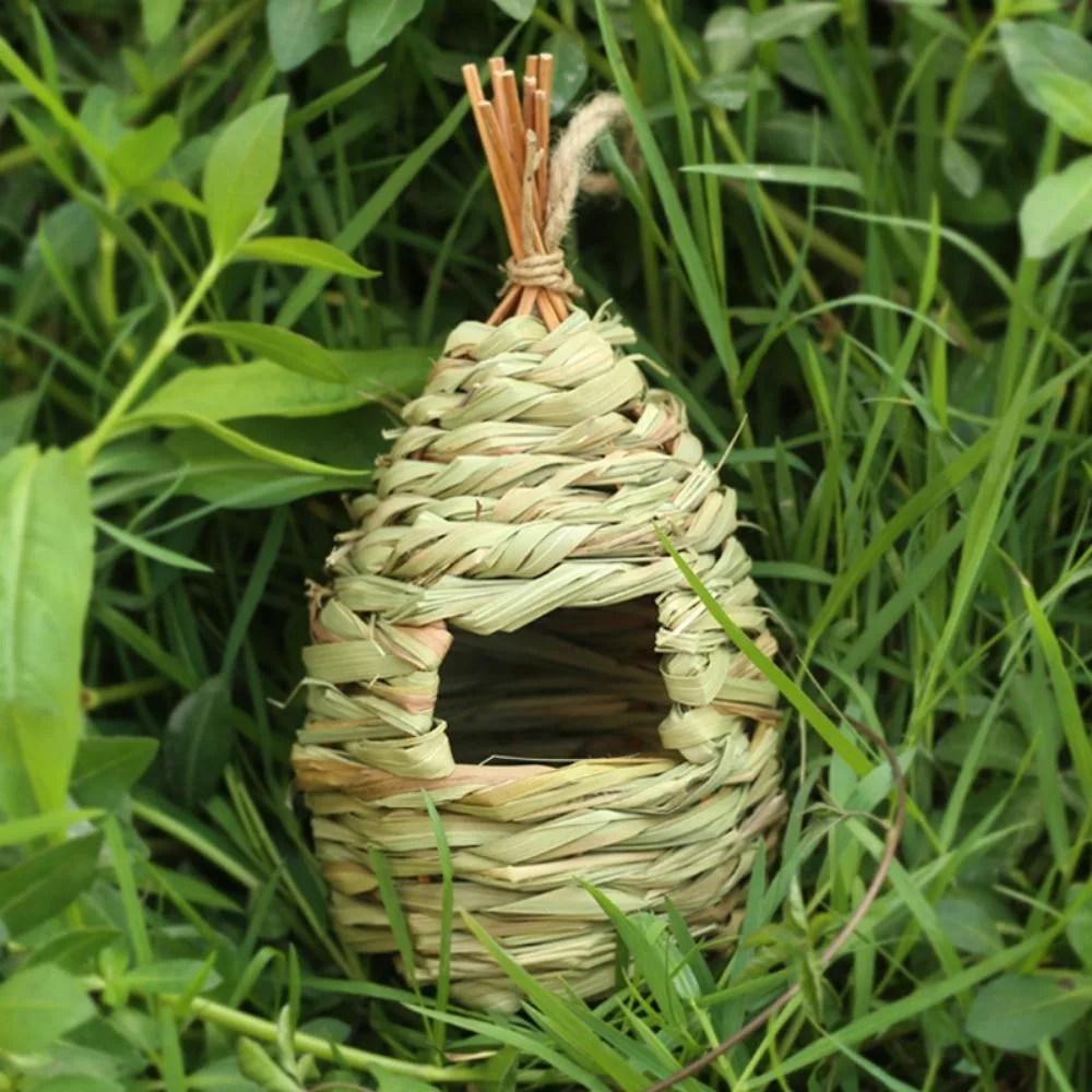 Petit oiseau Nest naturel cage d'œufs Parrot à suspendre tissé Maison Wbb21102