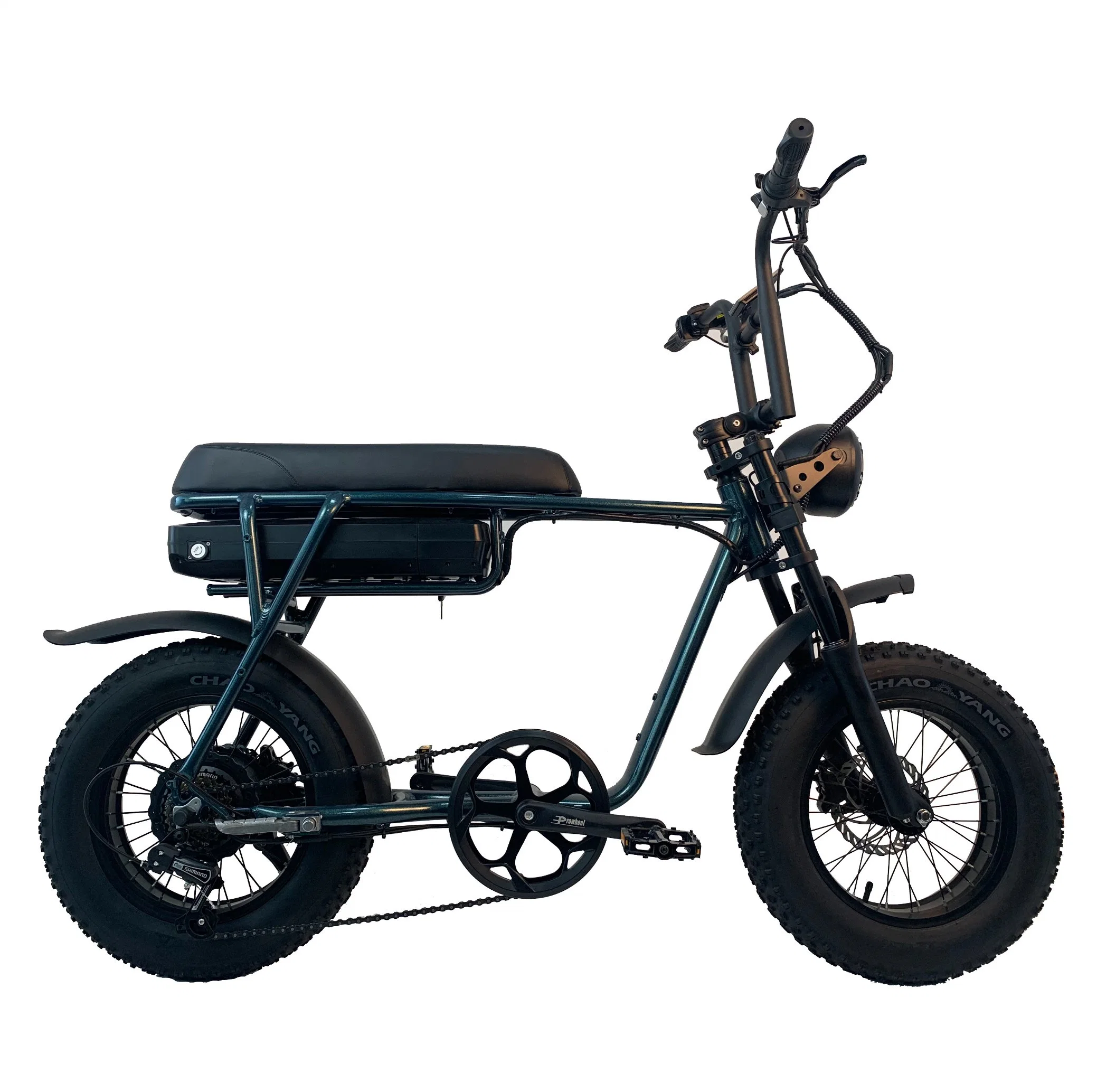 Pasebike Factory Motorcycle Style Super Fast 45km/H 1000W Electric Dirt Bike Adult Fat Tire Electric Bike Ebike