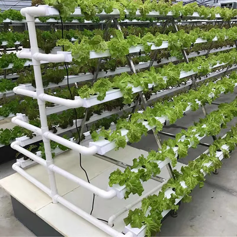 Farm Cultivation Rectangular PVC Nft Channel Hydroponic System Channel Pipe Hydroponics Nft Growing System Manufacturer