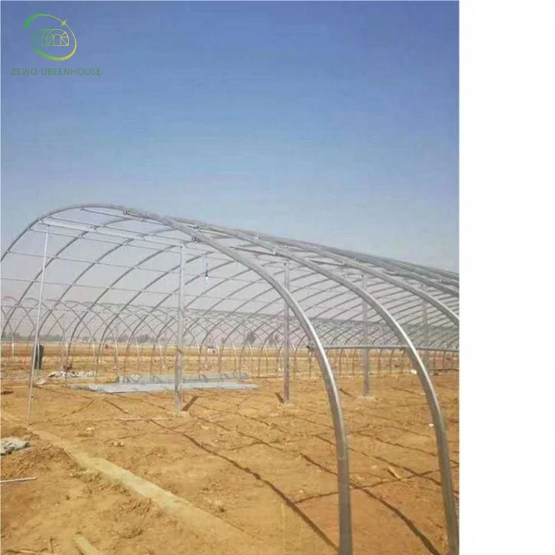 Cheap Agricultural Single Span Poly Film Tunnel Greenhouse with Irrigation and Hydroponics Growing System Spacious Greenhouse for Plants Medical Plants