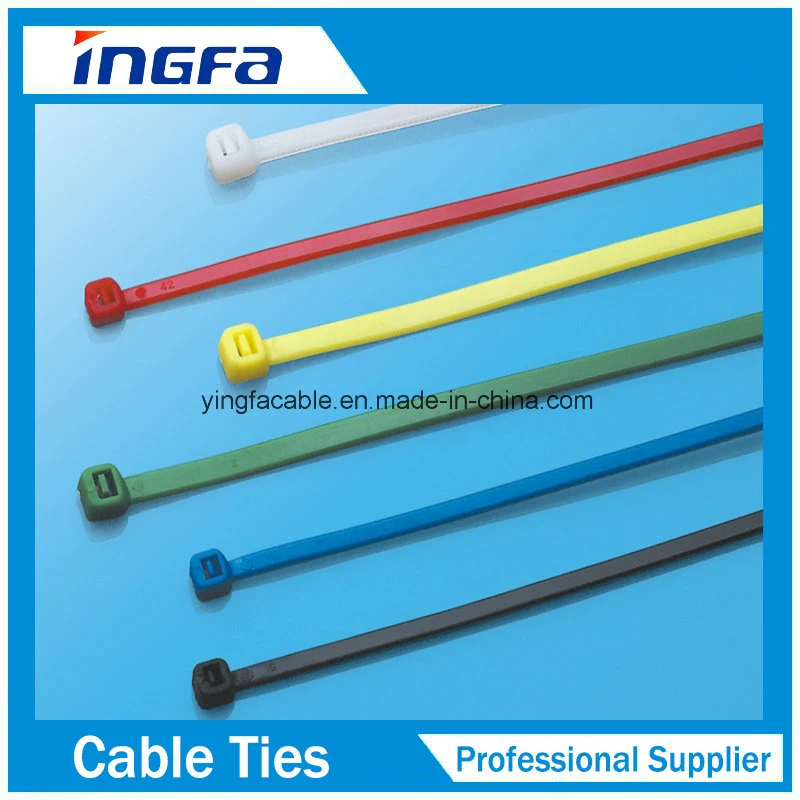 Plastic Material Nylon 66 Zip Ties Mountable Head Ties