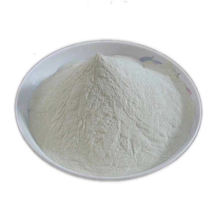 Food Additives Sodium Benzoate Powder Sodium Benzoate Food Preservatives