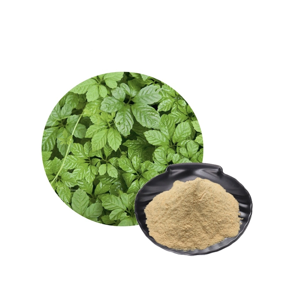 Chinese Natural Herbal Extract Jiao Gu LAN Gynostemma Extract Powder