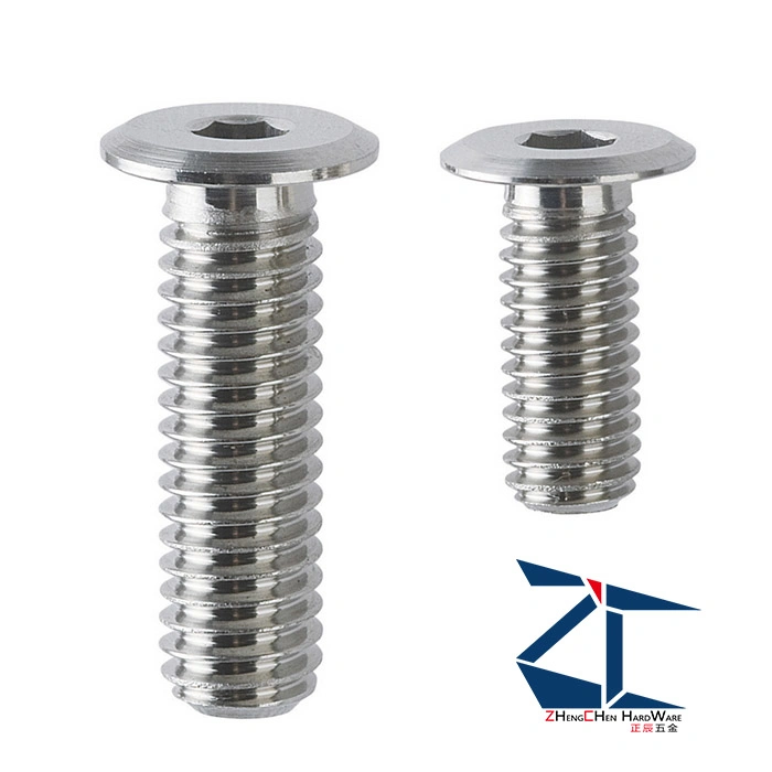 Screw Stainless Steel Ultra Low Head Cap