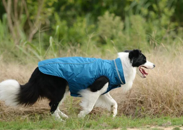 Ropa de mascota perro Coldproof cálido abrigo prendas de vestir ropa al aire libre