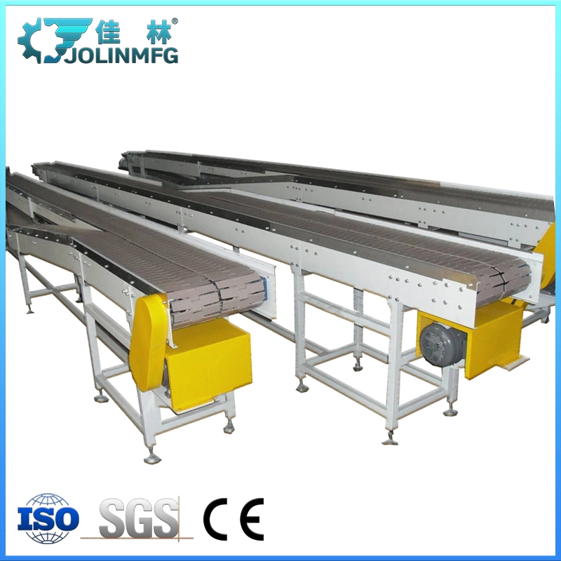 Transportation Equipment Manufacturer Chain Plate Conveyor for Packing Line