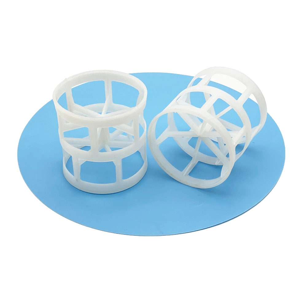 Le polypropylène PE RPP PVC CPVC bague en plastique PVDF PTFE Pall