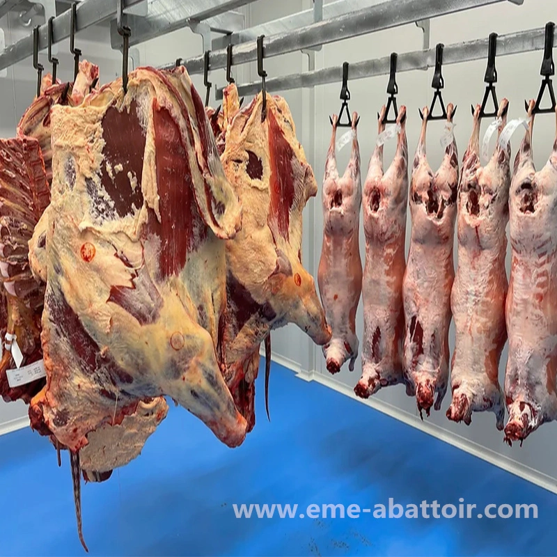 Automatic Meat Loading Arm Machine Slaughterhouse Equipment Used in Beef Pork Mutton Processing Plant