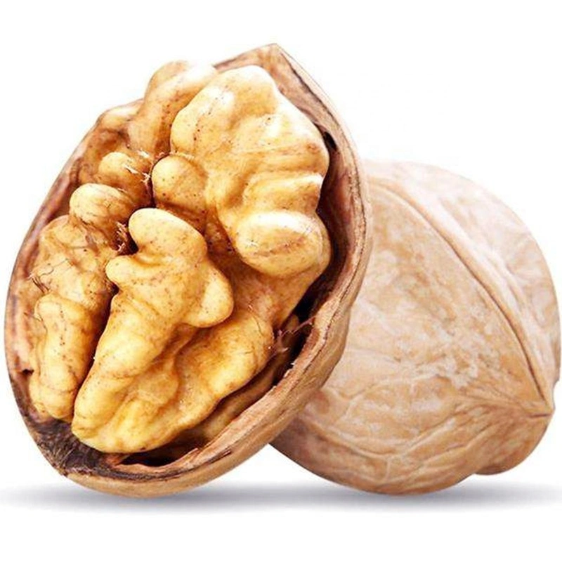 2021 New Crop Harvest Walnut/Walnut in Shell /Walnut Kernel at Good Price