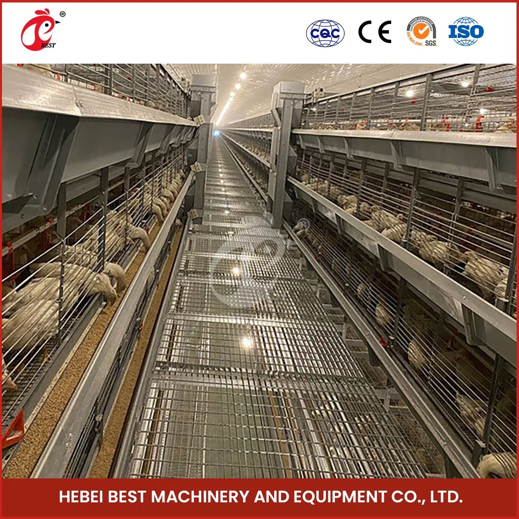 Châssis en H Bestchickencage Cages de poulets de chair de la Chine Maison de la volaille Structure en acier Factory bon appareil de la volaille à griller des cages de débordement