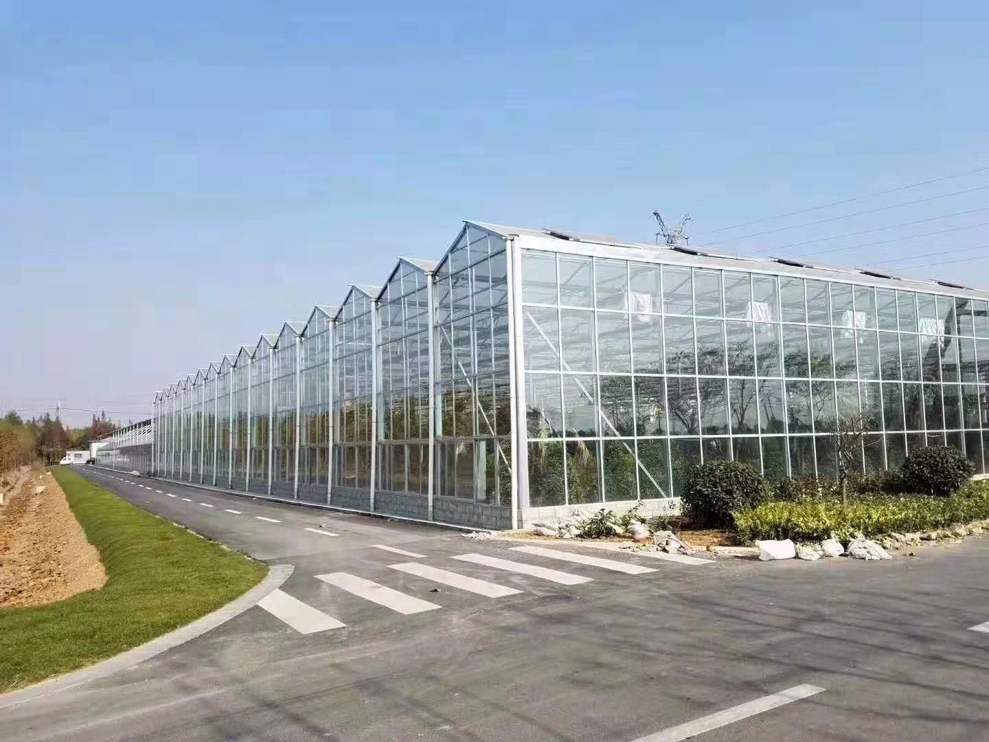 Venlo Type Polycarbonate Board PC Green House The Belt and Road Initiative/Cucumber/Lettuce/Pepper/Planting