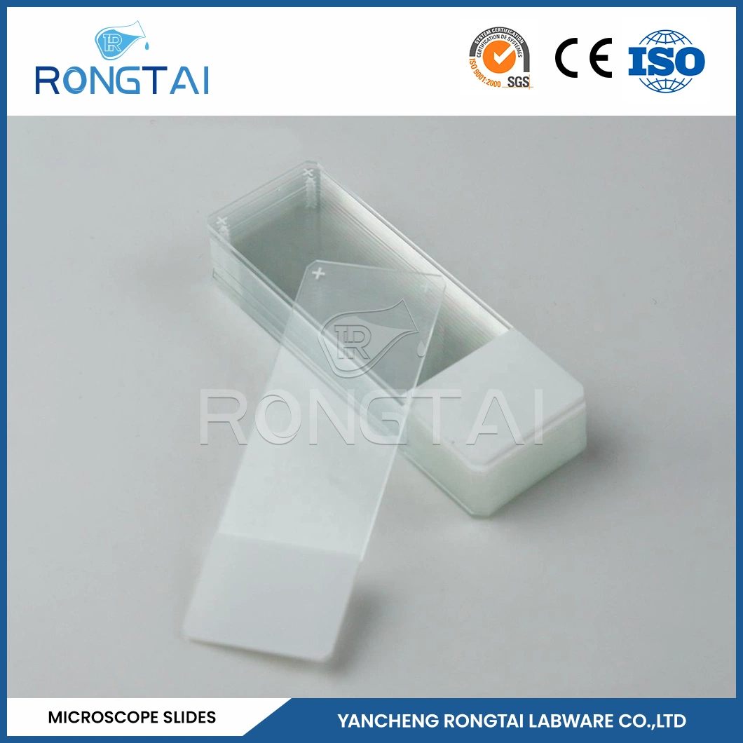 Rongtai School Laboratory Equipment Suppliers Microscope Slides Ground Edge China 7101 7102 7105 7107 7109 Microscope Prepared Teaching Slide