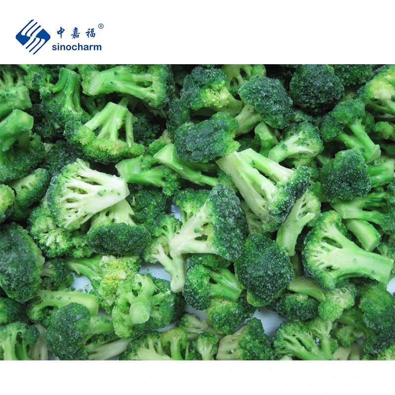 SinoCharms Оптовая цена Bulk 3-5см IQF Broccoli с 5% Glazing Замороженные цветочные соцветия брокколи с BRC A