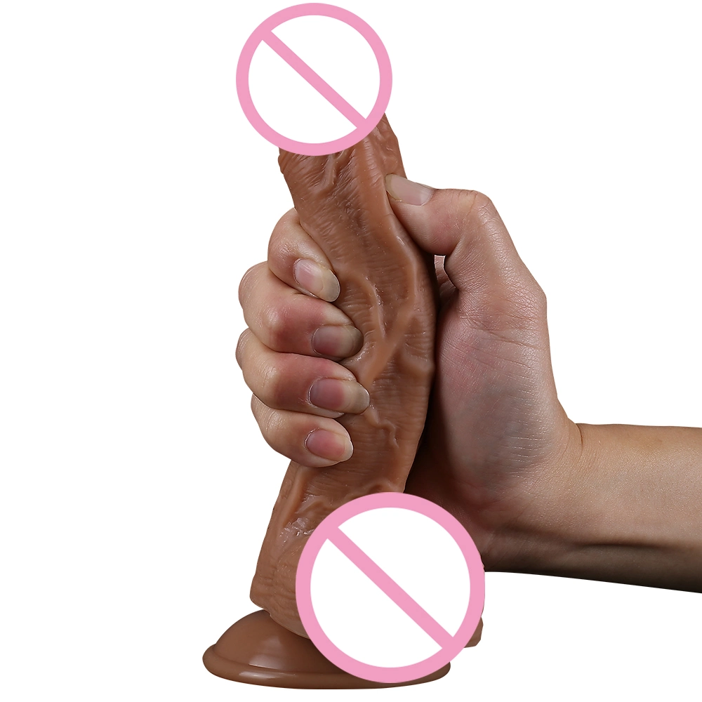 16,5 cm 6 polegada de amostra grátis Dildo realista de Silicone