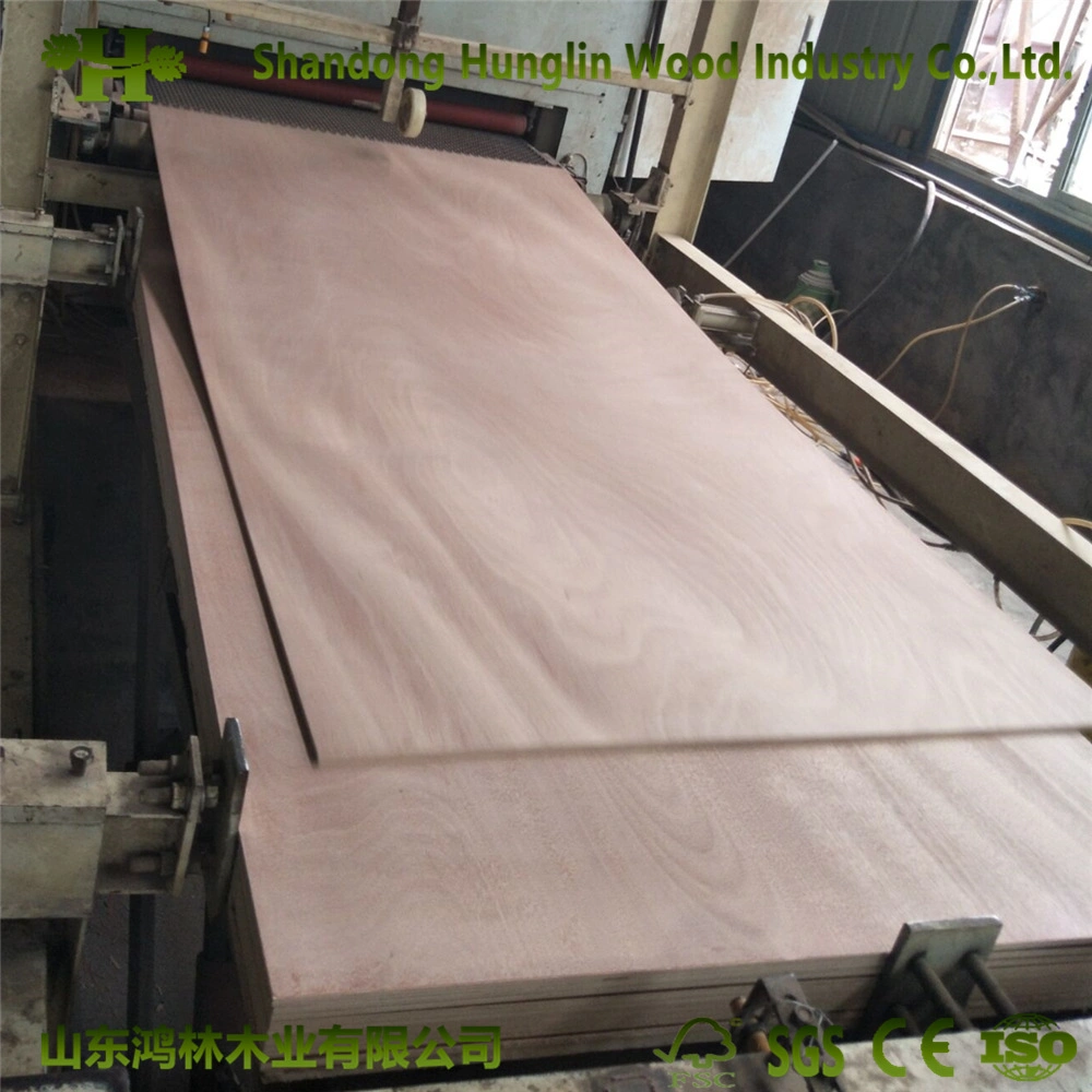 1220x2800mm Shandong bajo precio para el palet de madera contrachapada de grado de embalaje