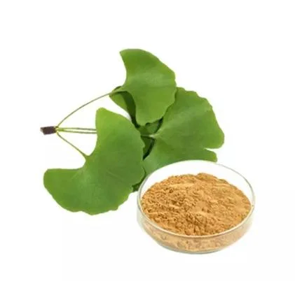 Extracto de plantas al por mayor de extracto de Ginkgo Biloba polvo glucósido flavonoide CAS 90045-36-6