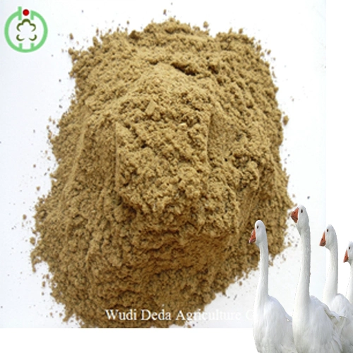 Fish Meal Powder Production Superior Quality Health Food