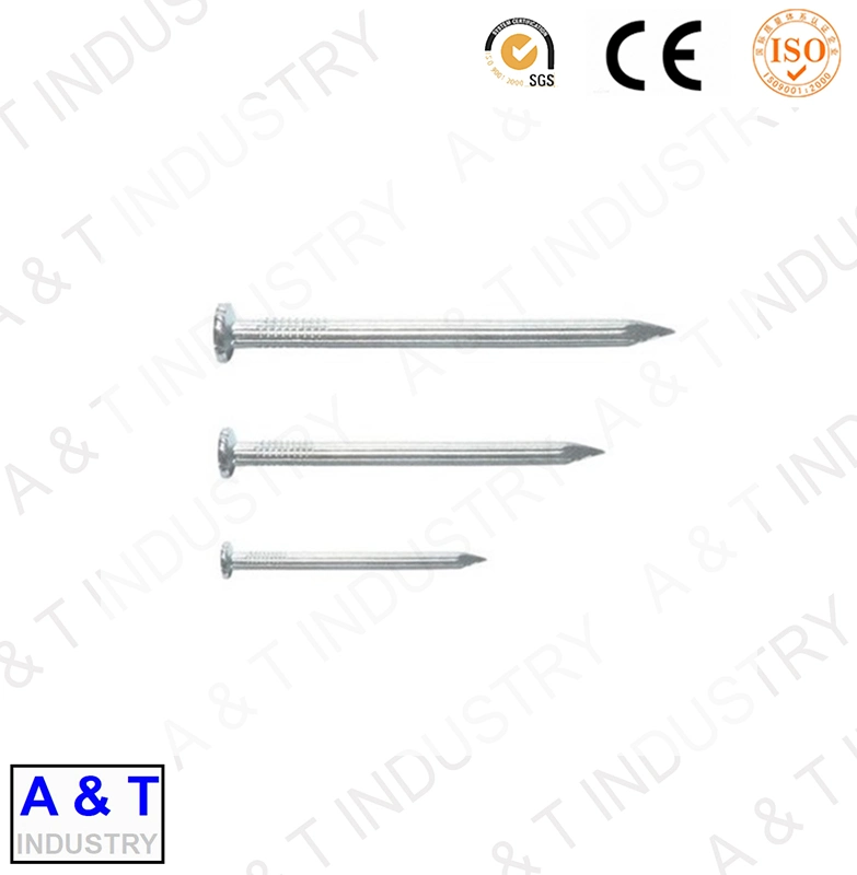 Factory Supply Construction 1-2 Inches Galvanized Steel Concrete Nail