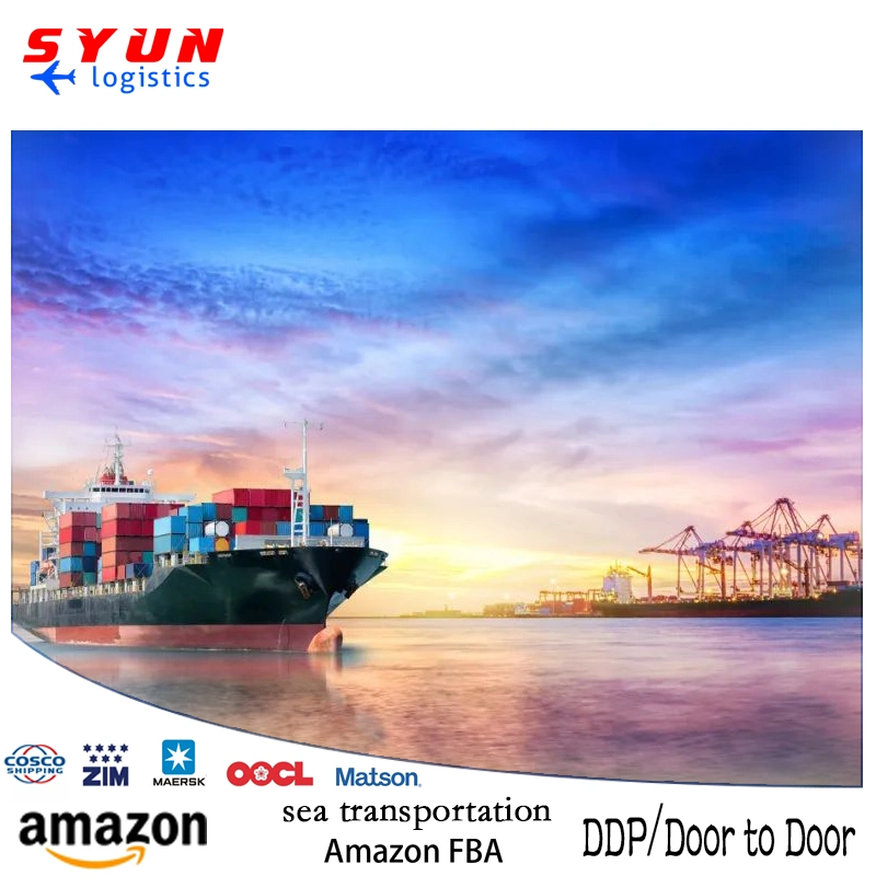 Professional Amazon Fba Sea Freight Forwarder Shipping From China to Luxembourg