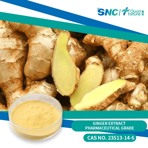 Высокая чистота 99% 8-Gingerol CAS 23513-08-8 Химический реагент органический Средний