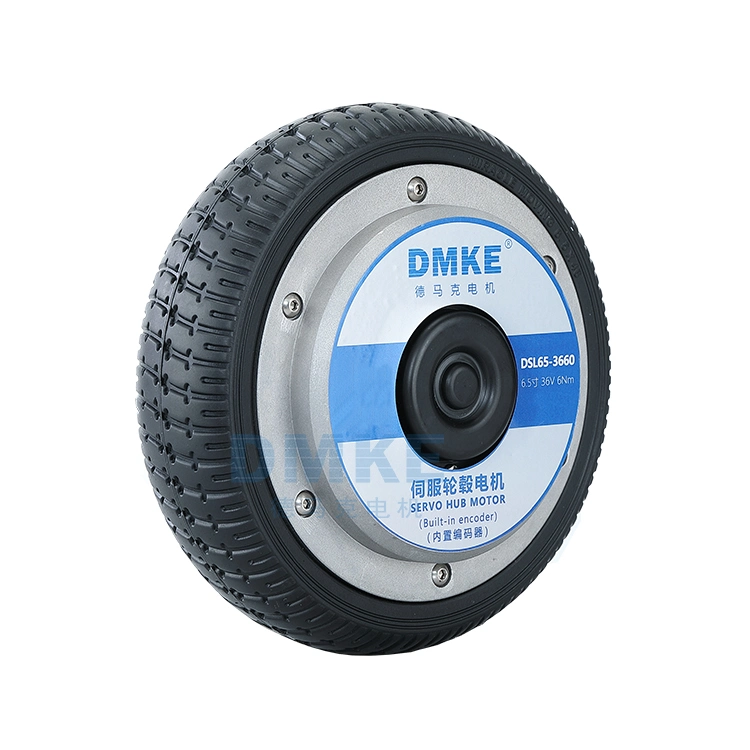 Dmke IP65 Waterproof 12V 24V 36V 48V 4.5 5 5.5 6.5 8 10 12 Inch Agv Robot in Wheel Electric Brushless Servo Hub Motor