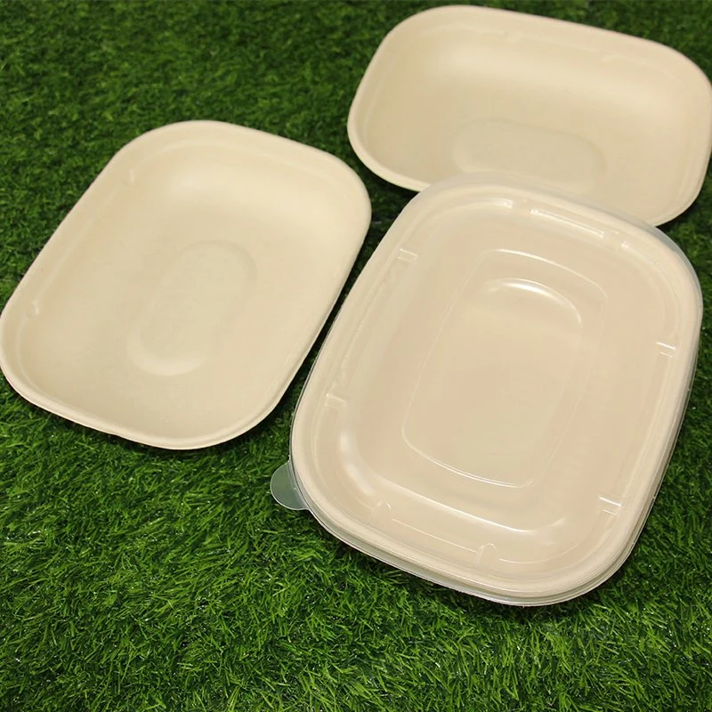 1300ml biodégradable personnalisé la bagasse 850ml Clamshell contenants alimentaires Food Box Bio à emporter de la charnière à usage unique Boîte à lunch