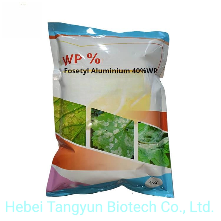 Fungicide Fosetyl Aluminium 40%Wp High Quality, Low Price