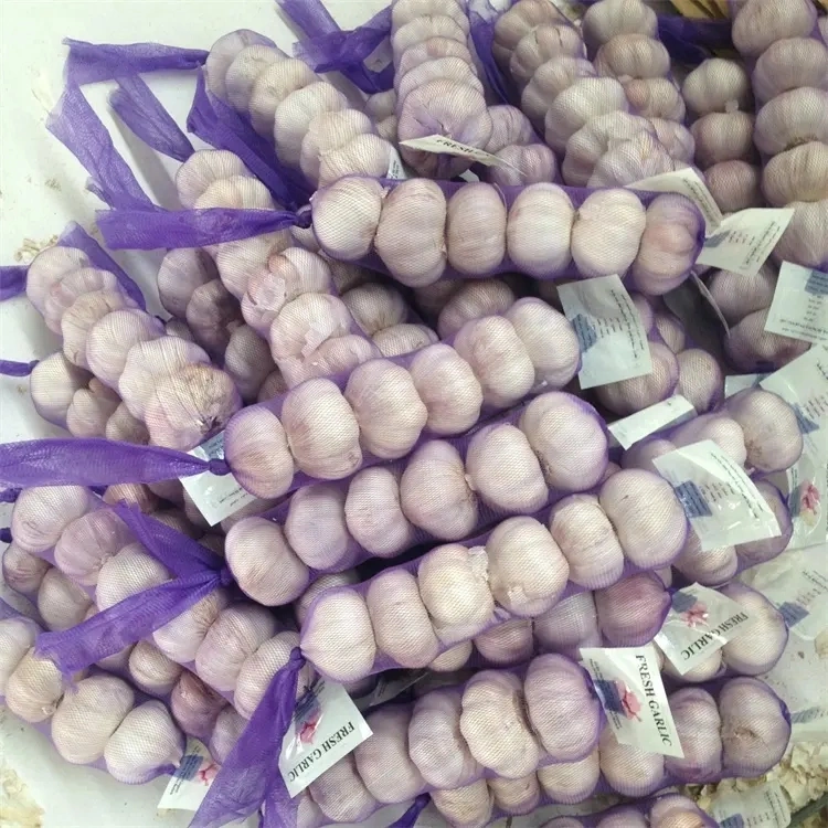 Wholesale/Supplier Chinese Garlic 5.0cm Packing Fresh Normal Garlic