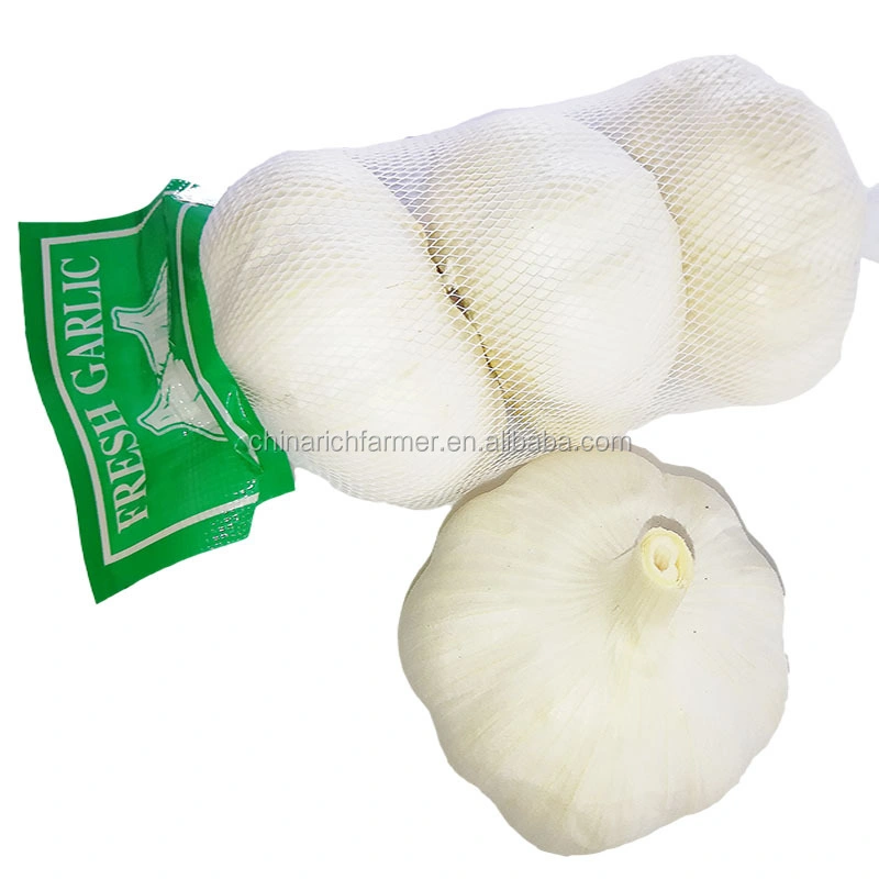 Les prix de l'ail frais Snow White Blanc pur de l'ail 5.0cm/5.5cm petites dans les filets d'emballage en carton