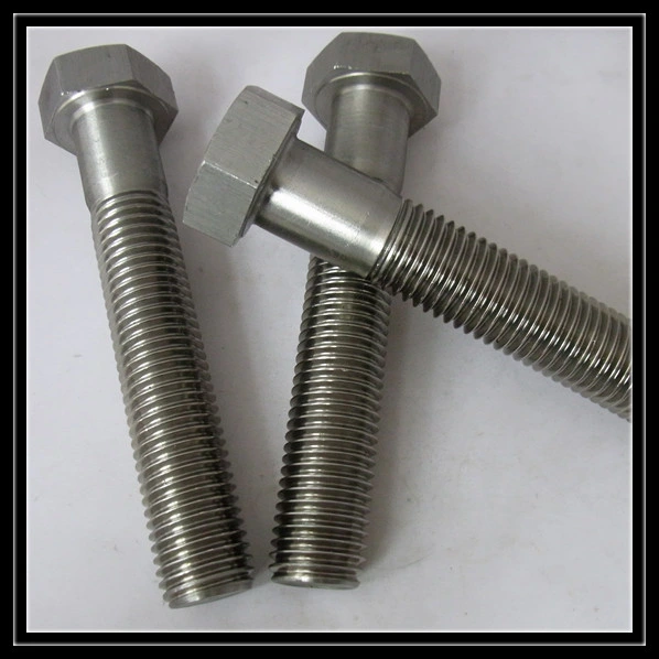 Leite Decorative Screws and Left Hand Thread Bolts Grade 8.8