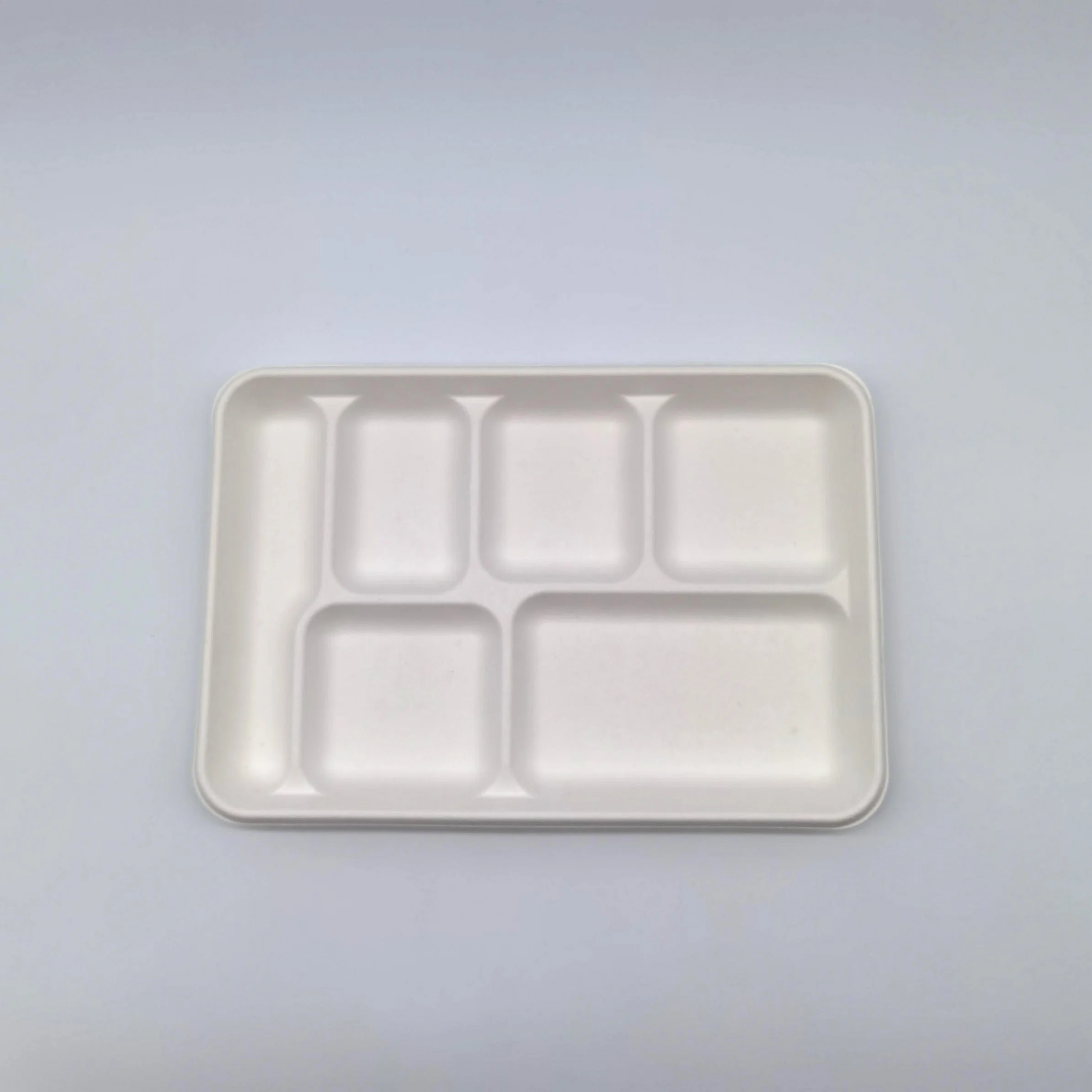 Sugarcane Pulp Disposable Degradable Serving Storage Kids Food Trays