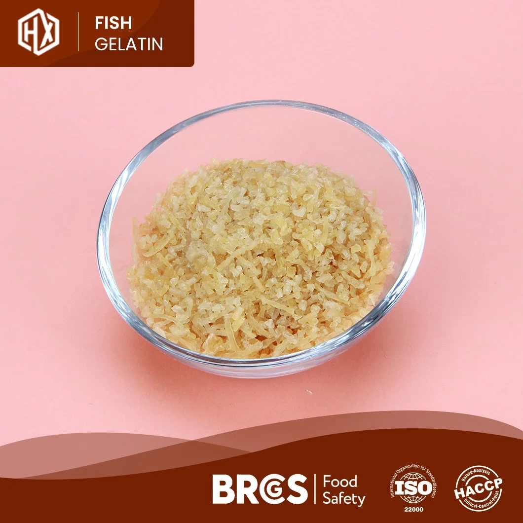 Haoxiang Free Sample Powdered Cod Fish Skin Gelatin China Pharma Cod Fish Skin Gelatin Factory Good Rationality Performance Halal Cod Fish Skin Gelatin