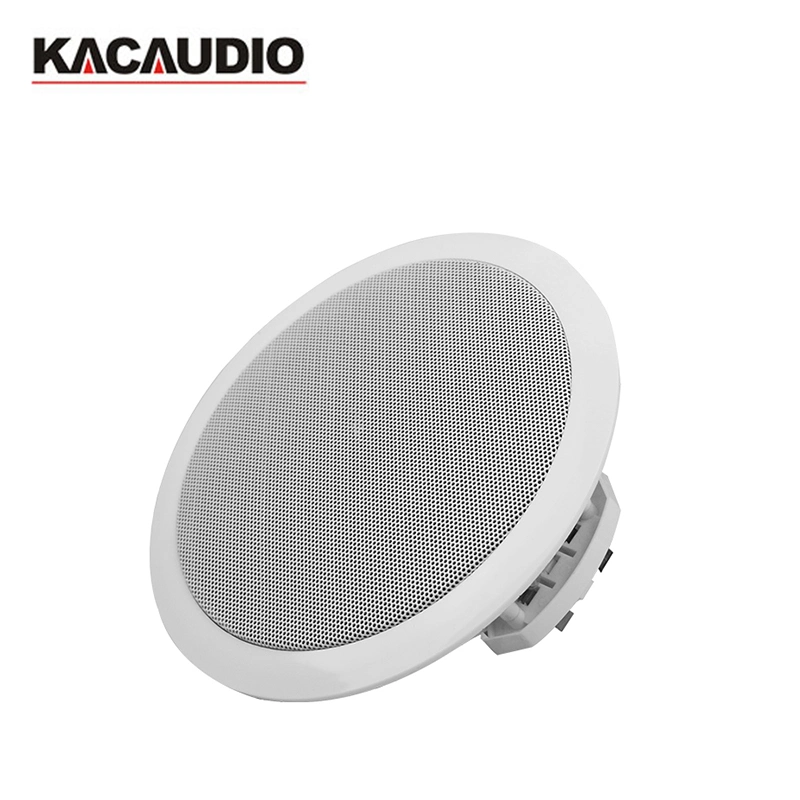 110-13000Hz Freq Resp Passive Ceiling Speaker with Carton Packed