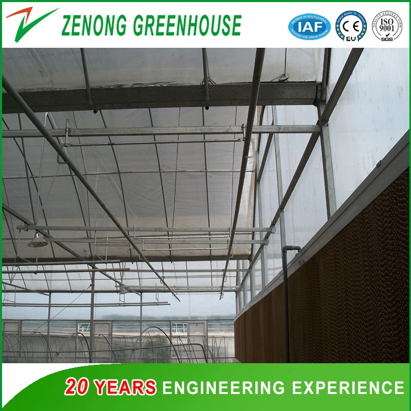 Large Size Glass Multi-Span Intelligent Greenhouse with Automatic Control system for Ecological Hotel/Sightseeing/Fruit