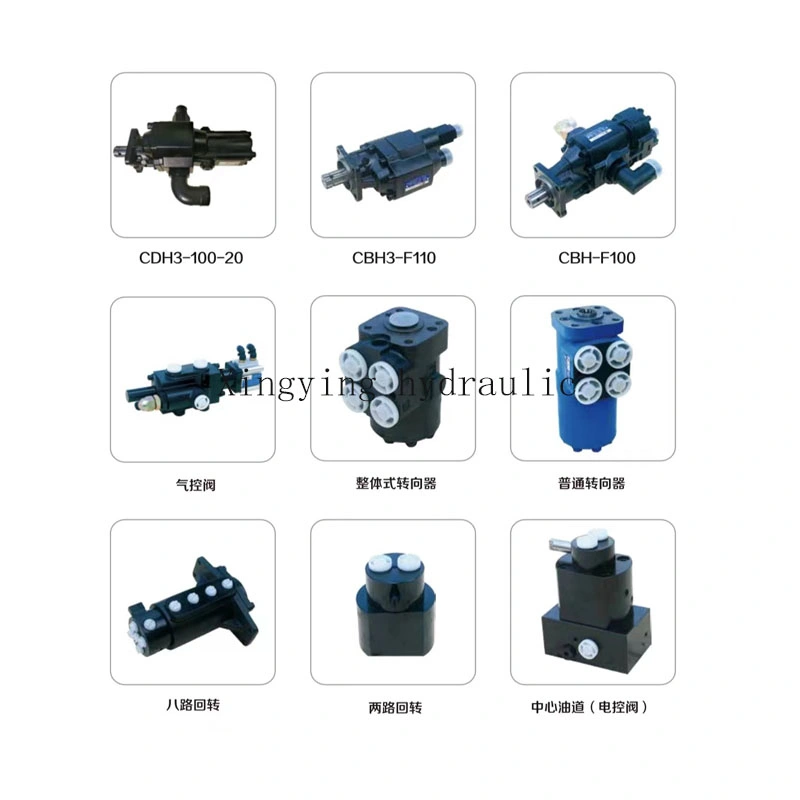 Bm2-50 Bm2-63 Bm2-80 Bm2-100 Bm2-125 Bm2-160 Bm2-200 Bm2-250 Bm2-315 Bm2-400 Bm2-500 Low Speed High Torque Orbital Hydraulic Motor