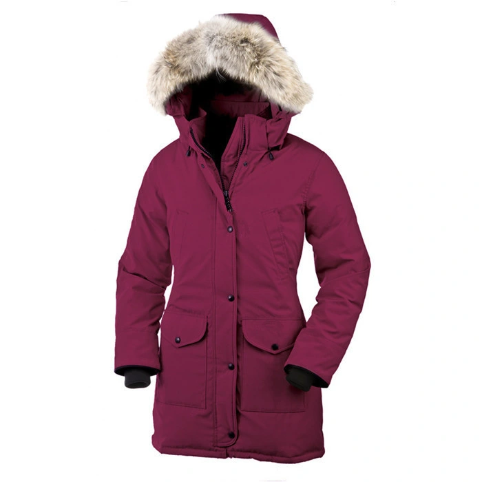 Wholesale Winter Female Goose Down Apparel Outdoor Long Warm Windbreaker Oversized Duck Down Jacket for Women