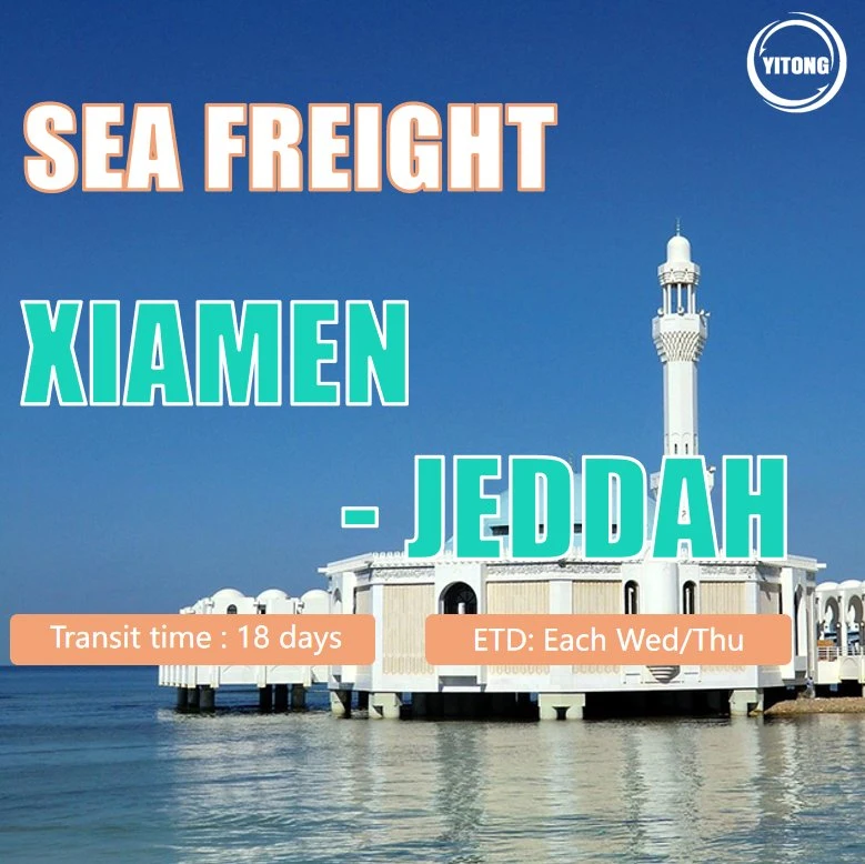 Logística de carga de Mar desde Shanghai a Jeddah