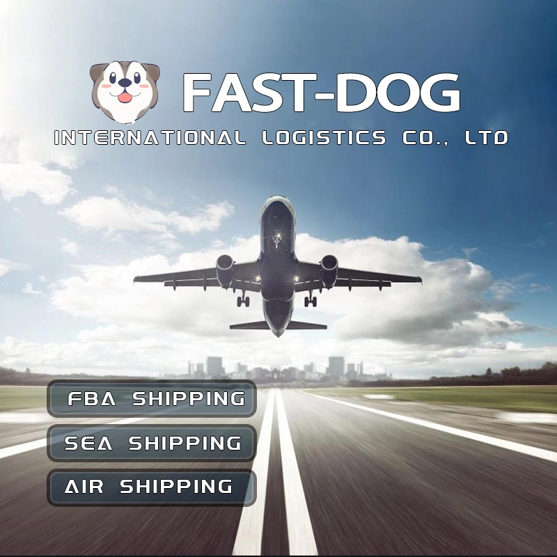 Door to Door Service International Freight Forwarder Company Air Shipping China to UK Germany Netherlands Italy France Spain USA