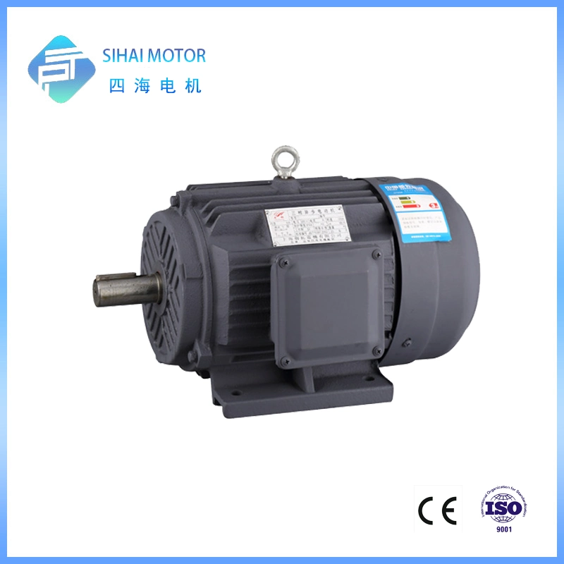 La norma IEC 4Kw 380V 3000 rpm motor trifásico