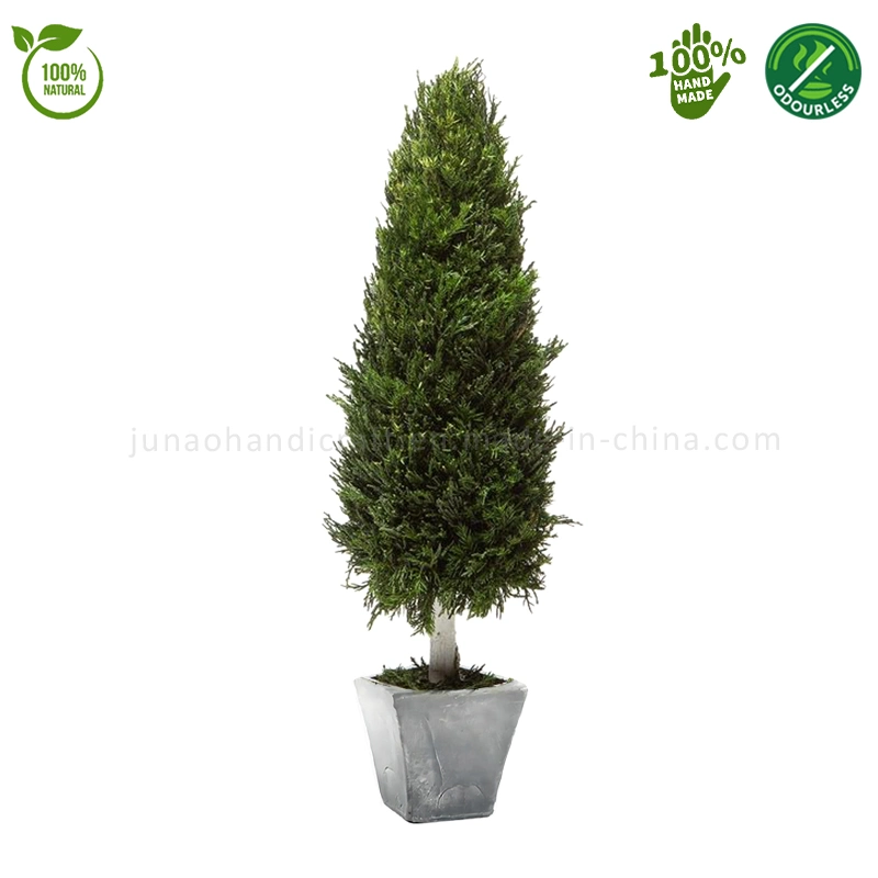 100% Natural Preserved Cypress Juniper Cone Topiary Timeless Home Christmas Tree