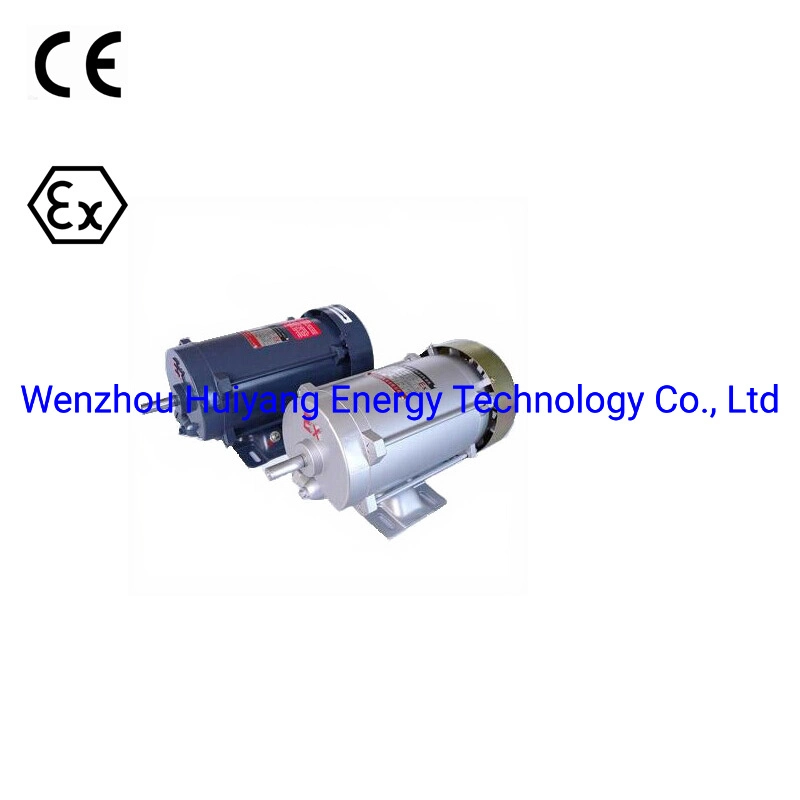 Explosion Proof 220V Iron Motor for Fuel Dispenser