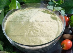 Tea Saponin Powder with Saponin 60%Min or 90%Min