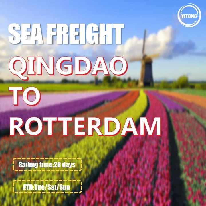 Ocean Freight Rate 20 Container From Guangzhou to Rotterdam