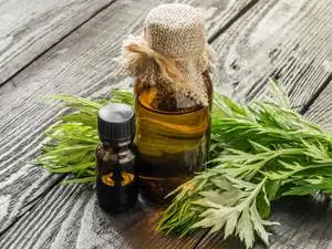 Buy/Import ISO Certified Armoise Essential Oil at Wholesale/Supplier Price